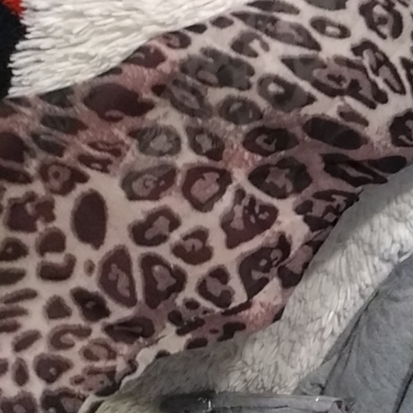 leopard print 🔥sheersleeved top nwt - Picture 3 of 6